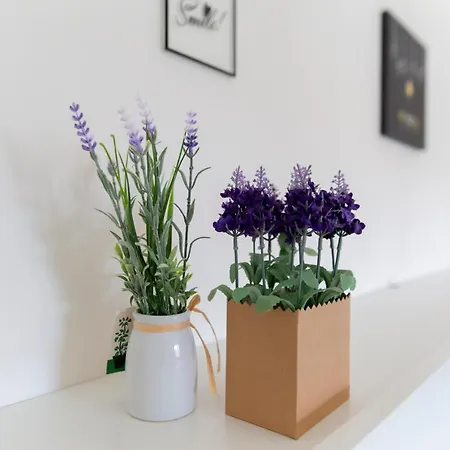 Allyoucantrip - Porto Гостевой дом Неаполь